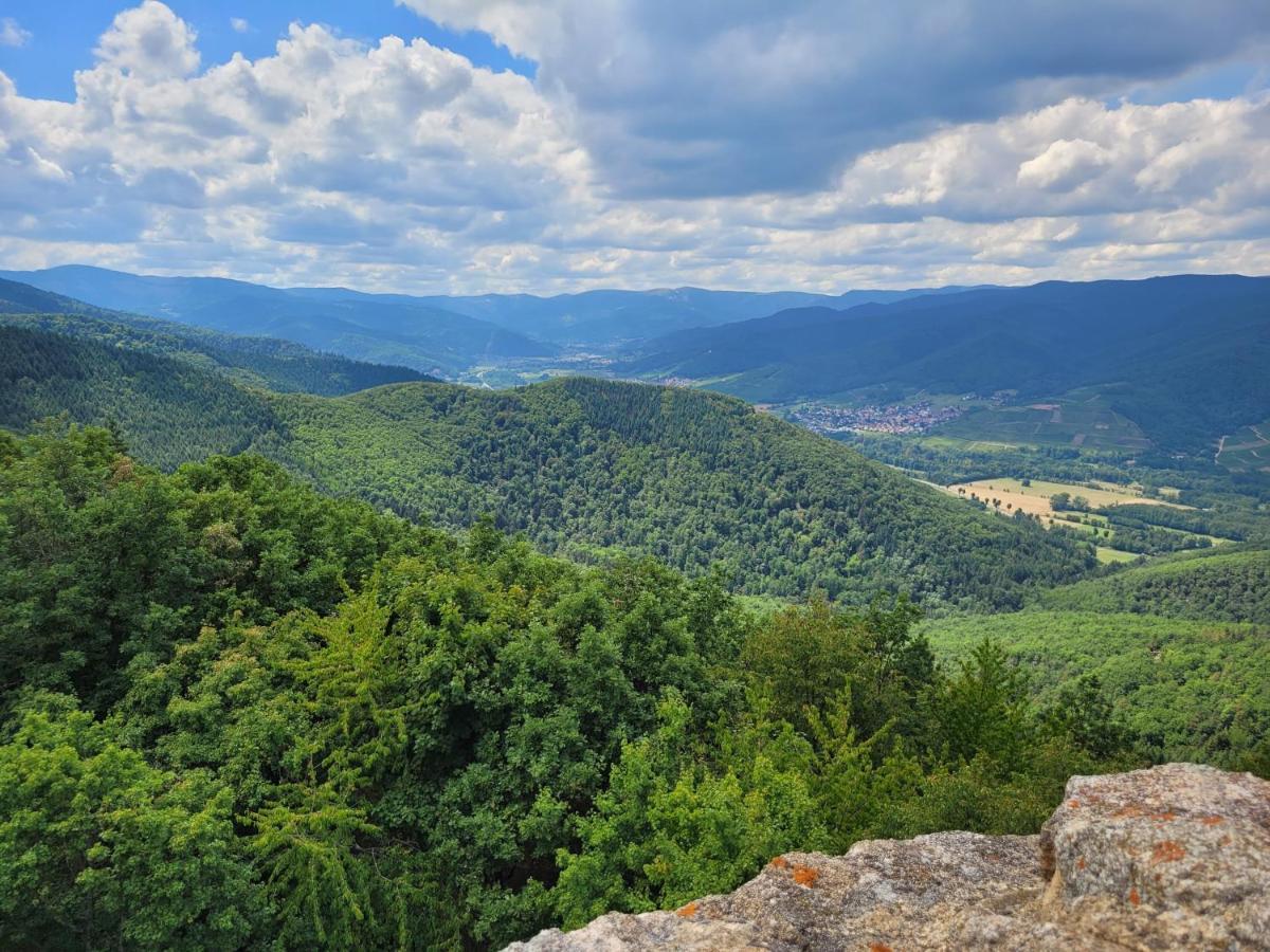 Appartement Chaleureux Au Coeur Des Hautes Vosges Ventron Exterior foto