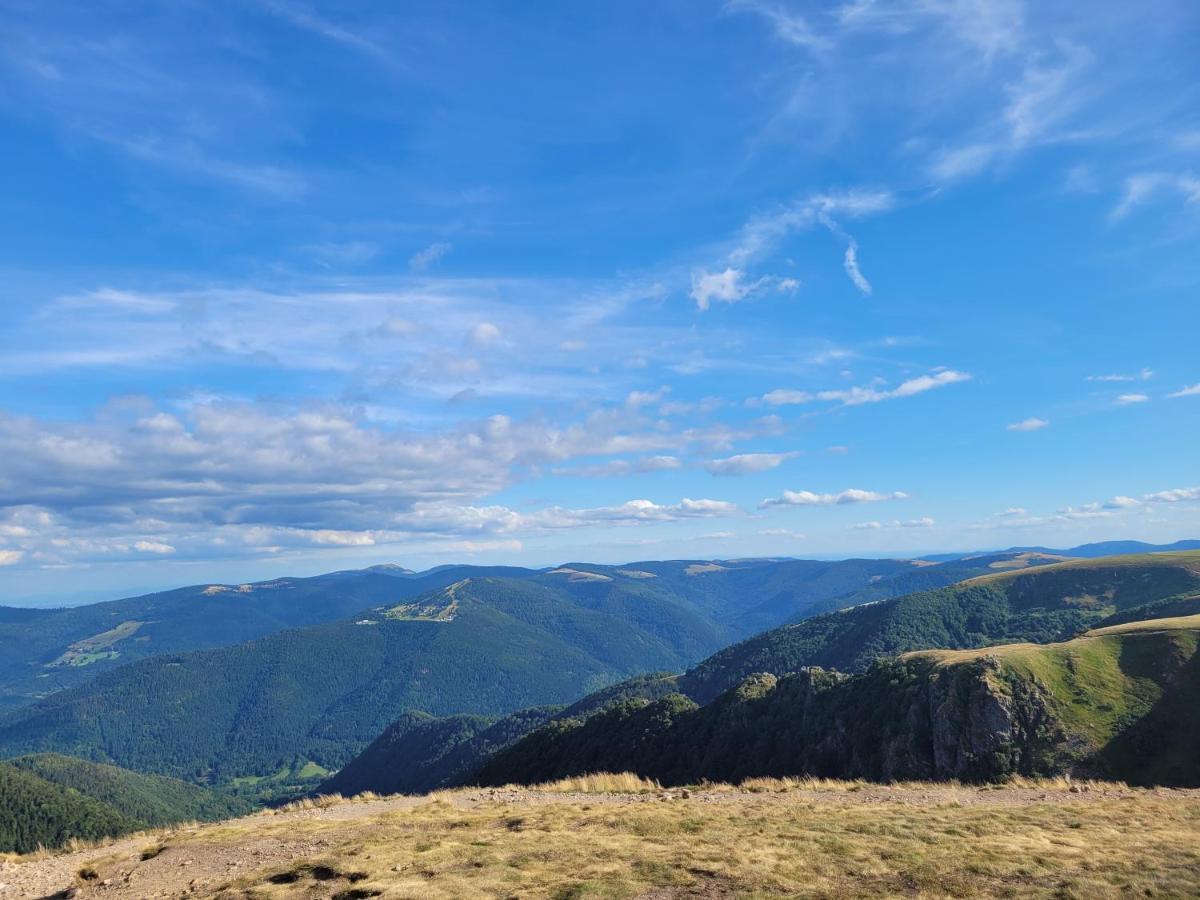 Appartement Chaleureux Au Coeur Des Hautes Vosges Ventron Exterior foto