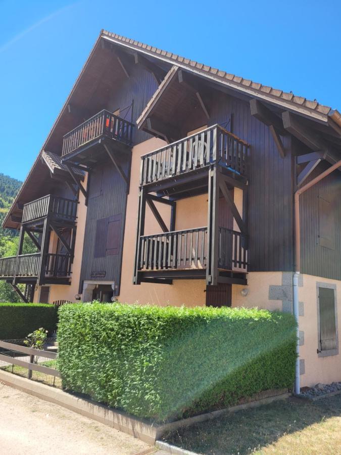 Appartement Chaleureux Au Coeur Des Hautes Vosges Ventron Exterior foto